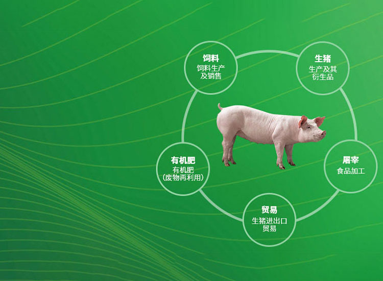 贝搏体育官方